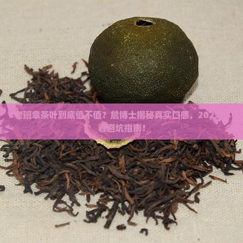 詹博士茶叶老班章