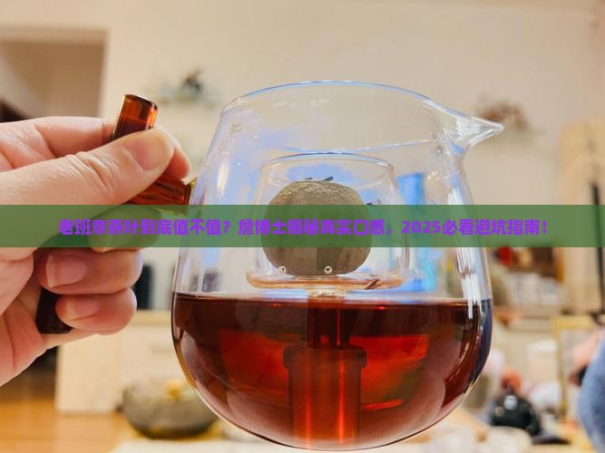詹博士茶叶老班章