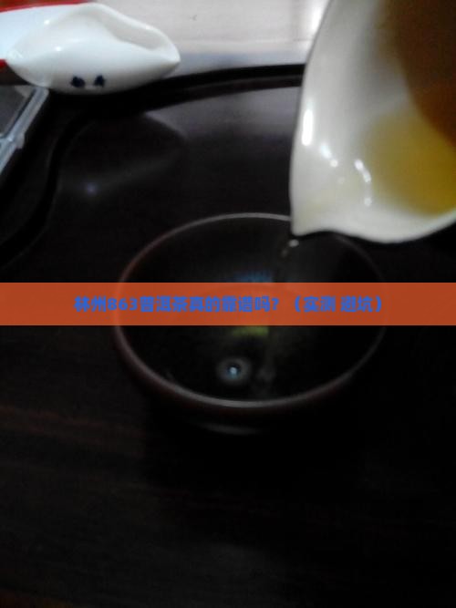 林州863普洱茶