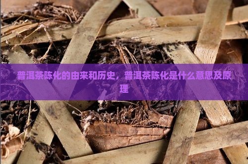 普洱茶陈化的由来和历史