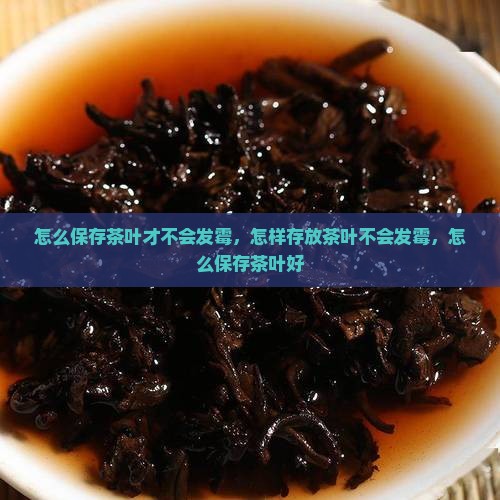 怎么保存茶叶才不会发霉