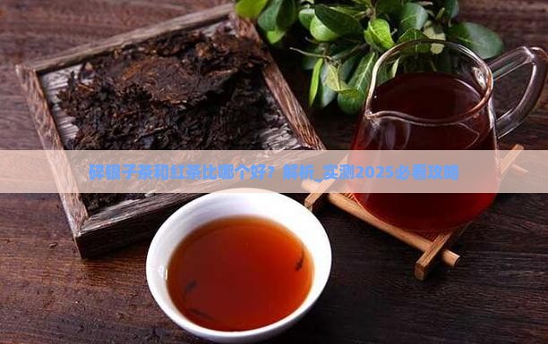 碎银子茶和红茶比哪个好
