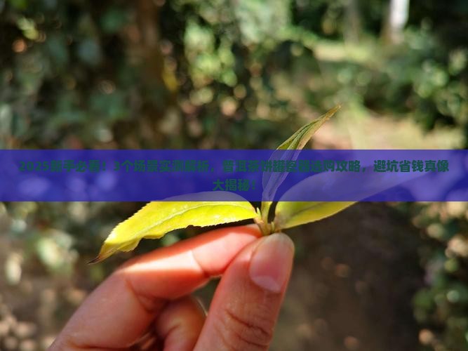 普洱茶饼罐瓷器