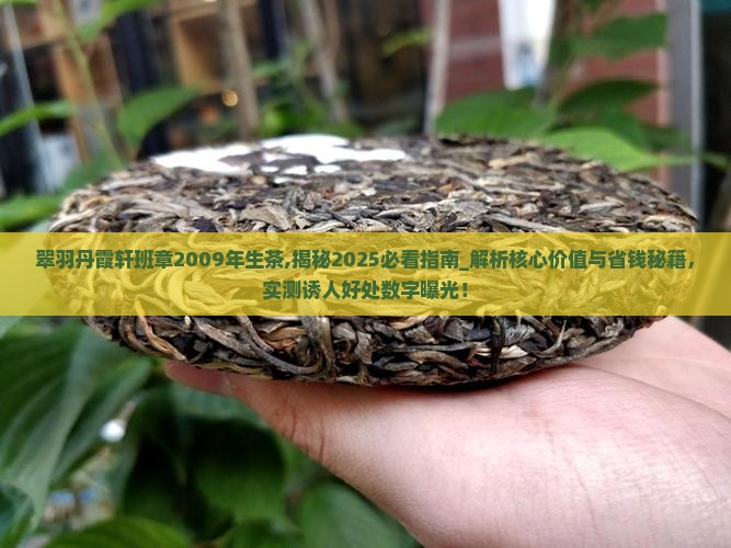 翠羽丹霞轩班章2009年生茶