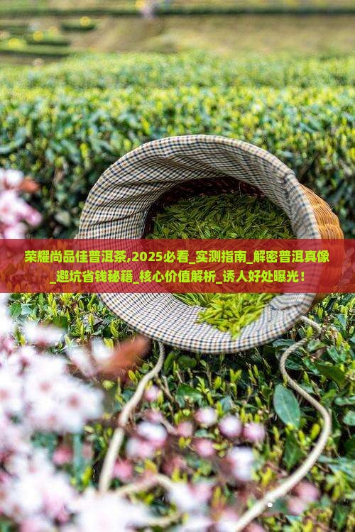 荣耀尚品佳普洱茶