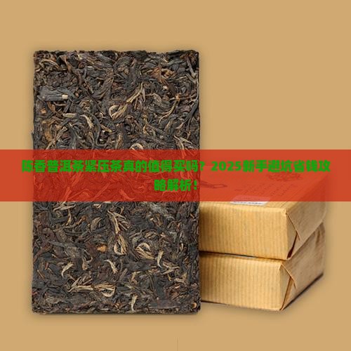 陈香普洱茶紧压茶