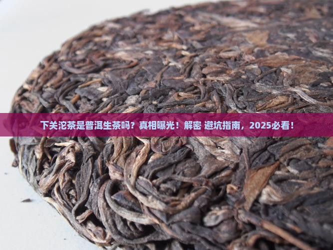 下关沱茶是普洱生茶吗