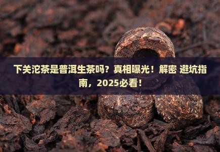 下关沱茶是普洱生茶吗
