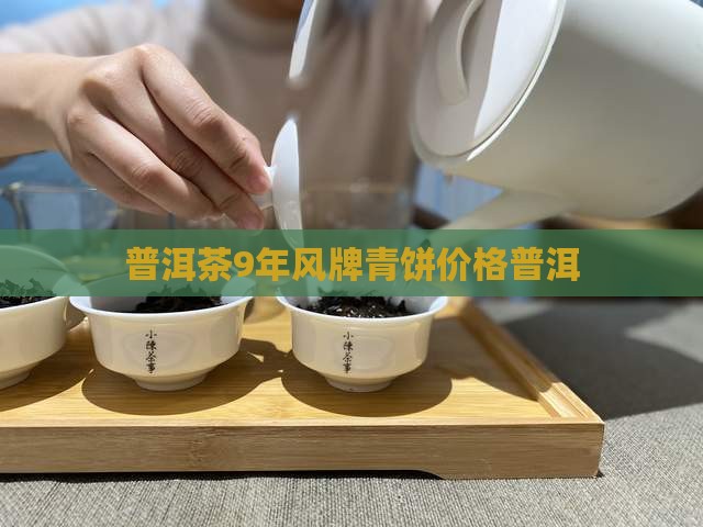 普洱茶9年风牌青饼