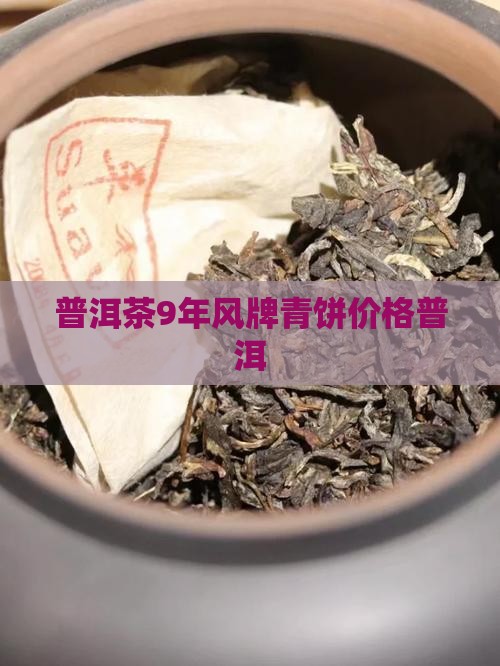 普洱茶9年风牌青饼