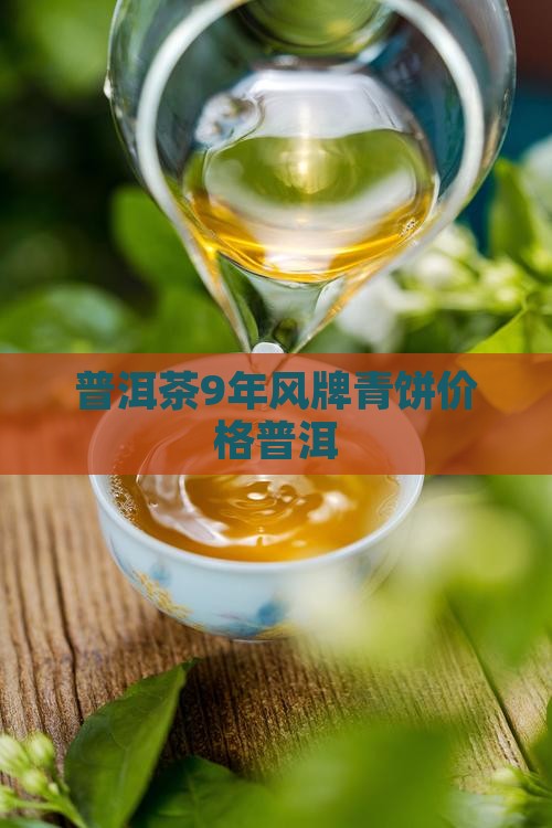 普洱茶9年风牌青饼