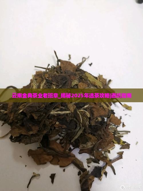 云南金典茶业老班章