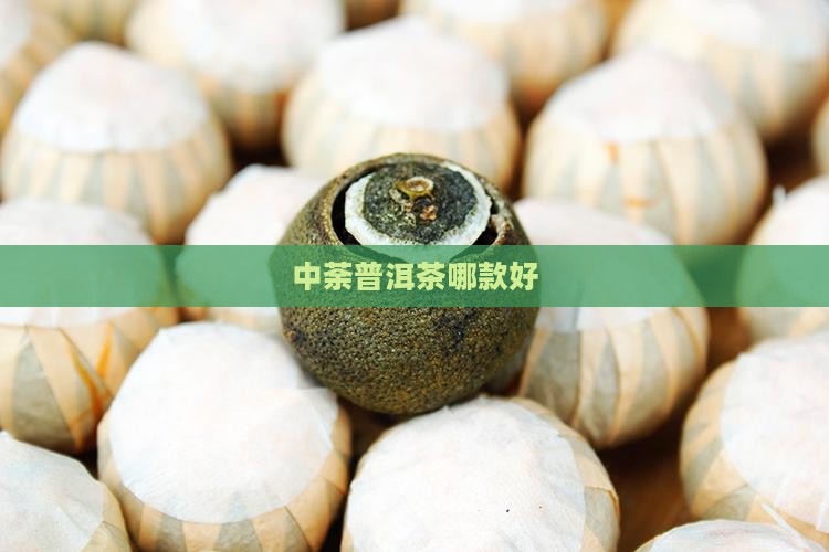 中荼普洱茶哪款好