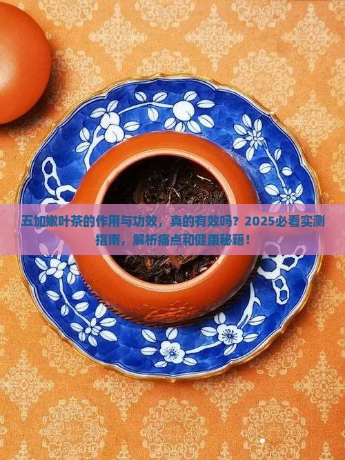 五加嫩叶茶的作用与功效