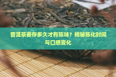 普洱茶要存多久才有陈味