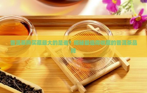普洱茶购买藏最大的是谁