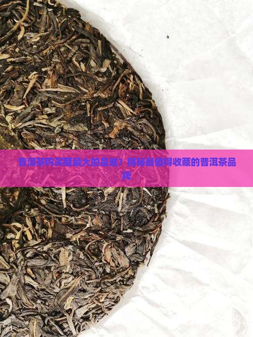 普洱茶购买藏最大的是谁