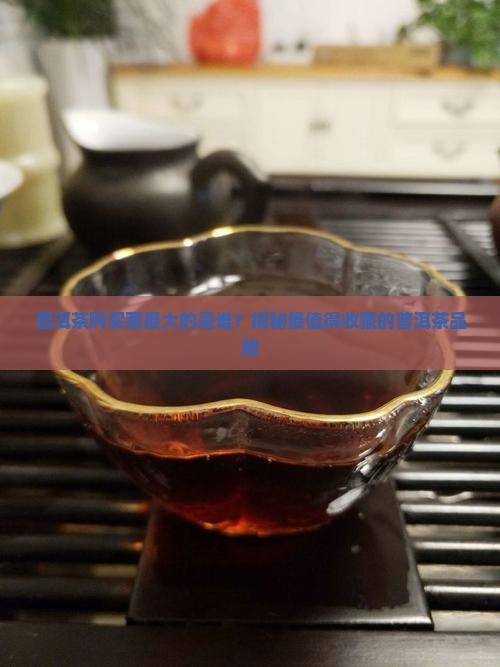 普洱茶购买藏最大的是谁