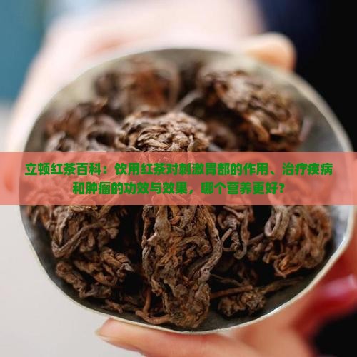 立顿红茶养胃吗