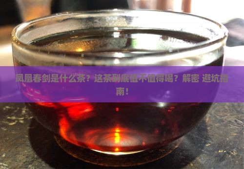 凤凰春剑是什么茶