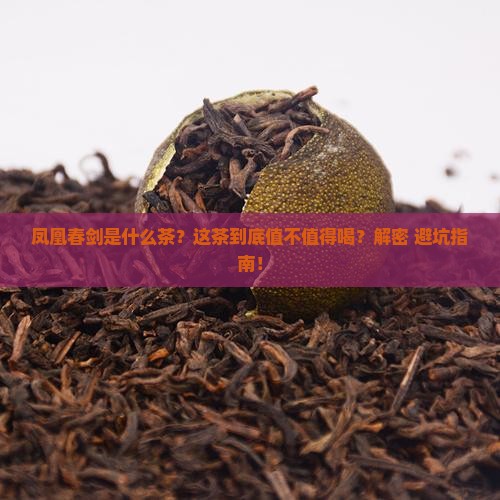 凤凰春剑是什么茶