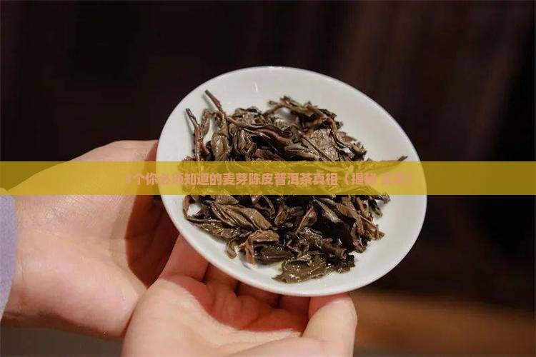麦芽陈皮普洱茶的功效与禁忌