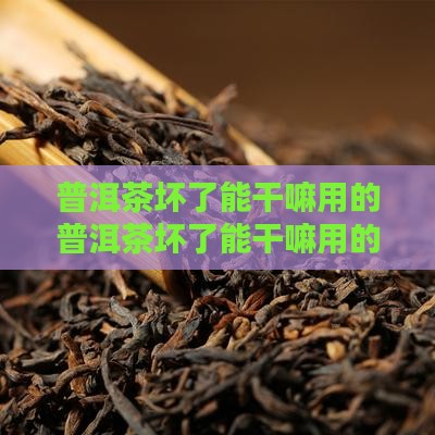 普洱茶坏了能干嘛用的