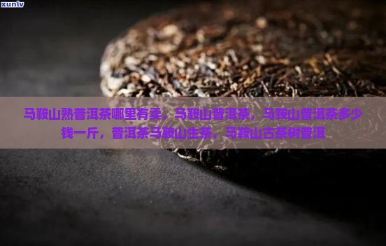 马鞍山熟普洱茶