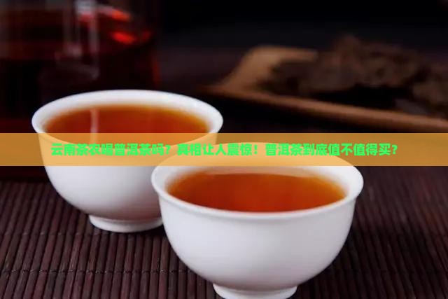 云南茶农喝普洱茶吗