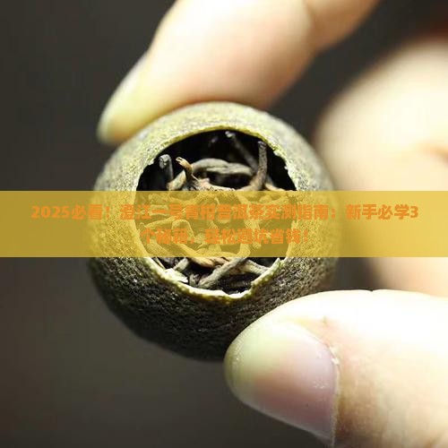 澄江一号青柑普洱茶