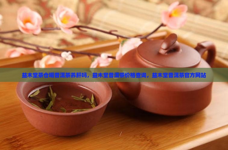 益木堂茶仓喝普洱茶养肝吗