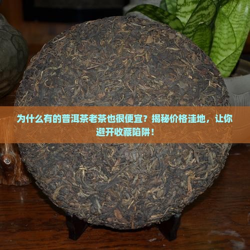 为什么有的普洱茶老茶也很便宜呢
