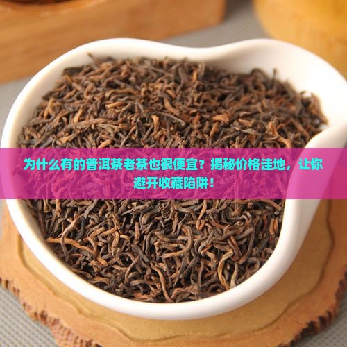 为什么有的普洱茶老茶也很便宜呢