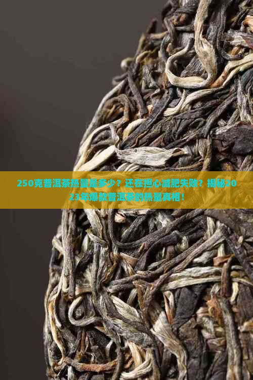 250克普洱茶热量是多少