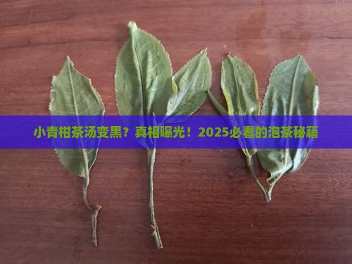 小青柑茶汤黑色