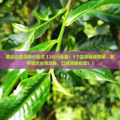 爱此山普洱茶小金沱