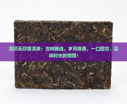 龙印无印普洱茶