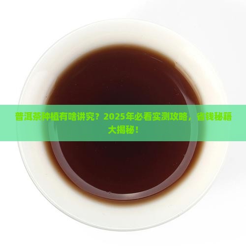 普洱茶栽培条件要求是什么