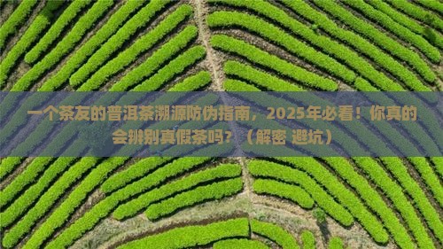 普洱茶溯源防伪专利
