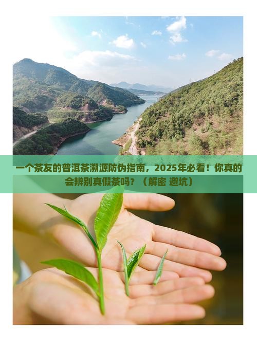 普洱茶溯源防伪专利