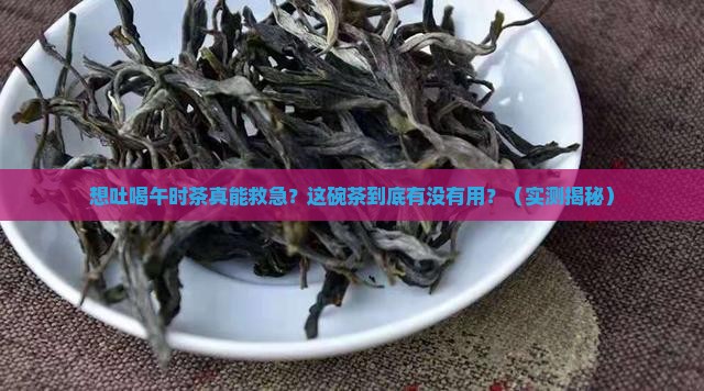 想吐喝午时茶有用吗