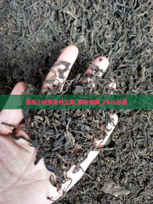 曼松小树茶是什么茶