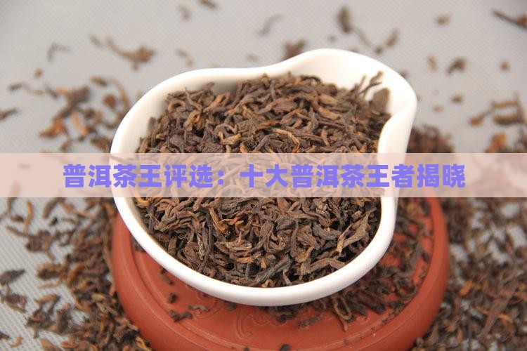 勐库普洱茶王评选