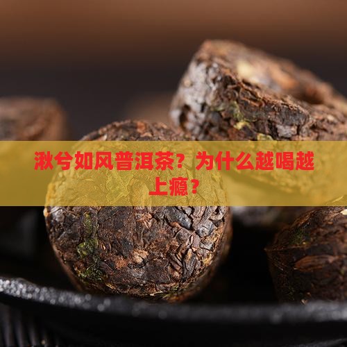 湫兮如风普洱茶