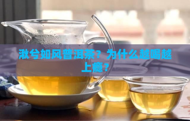 湫兮如风普洱茶