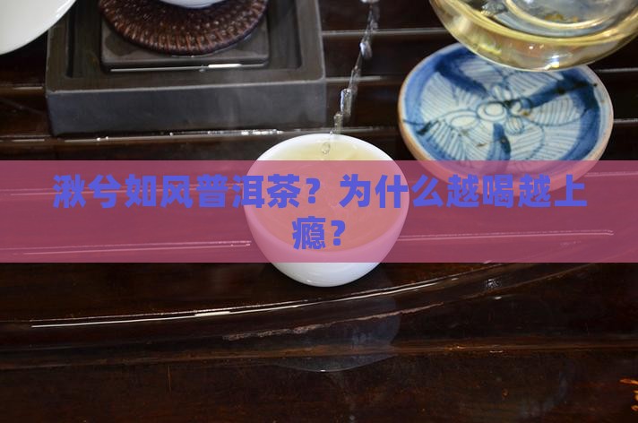 湫兮如风普洱茶