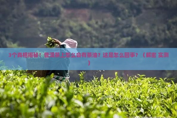 普洱茶上的茶油怎样造成的