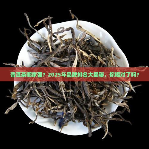 普洱茶的品牌排名