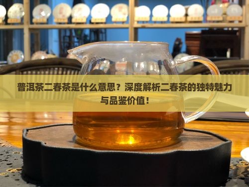 普洱茶二春茶是什么意思