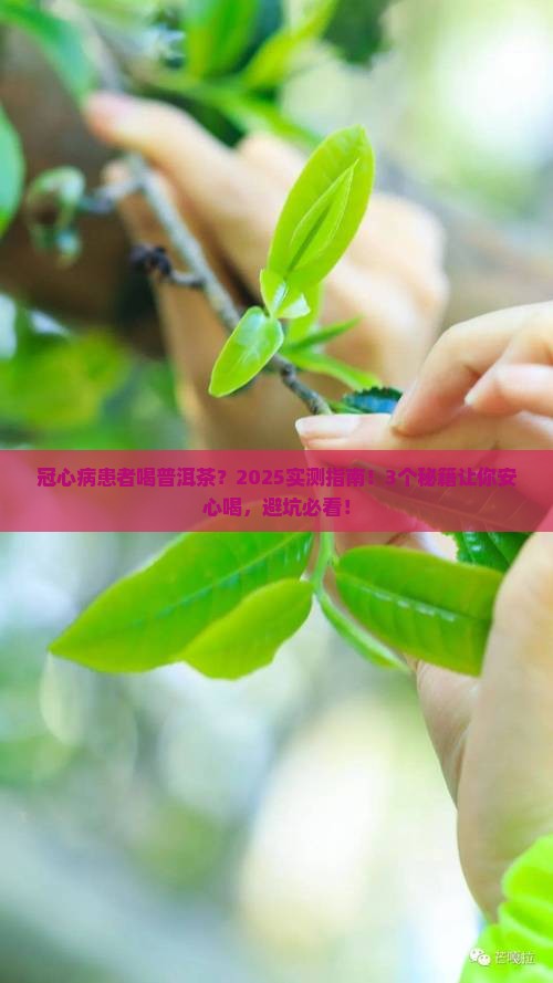 冠心病患者能喝普洱茶吗